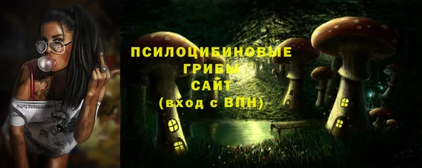 твердый Бронницы