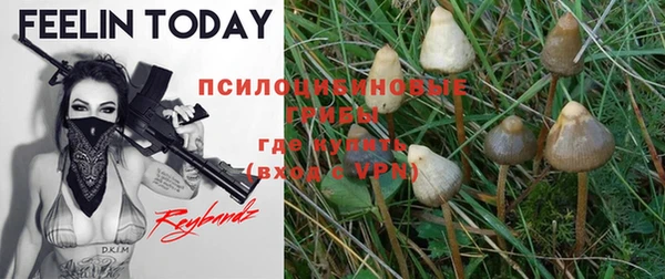 MESCALINE Бородино