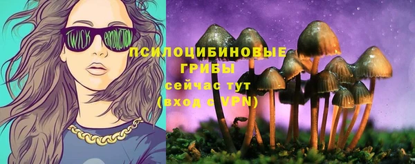 MESCALINE Бородино