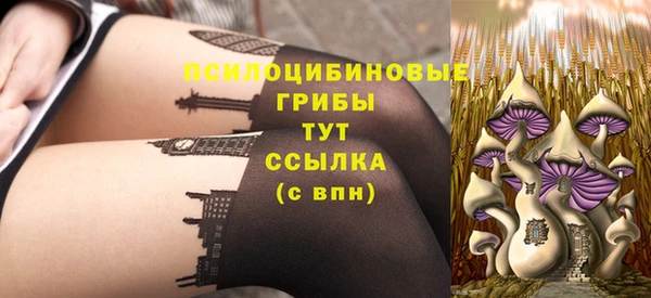 твердый Бронницы