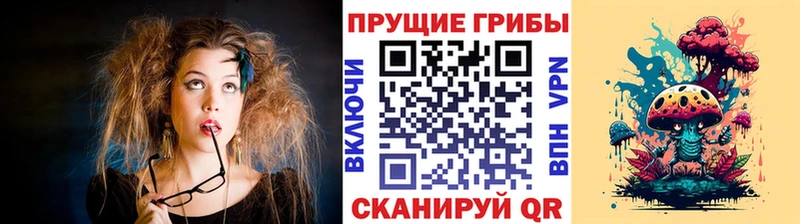 Галлюциногенные грибы Psilocybine cubensis Сосногорск